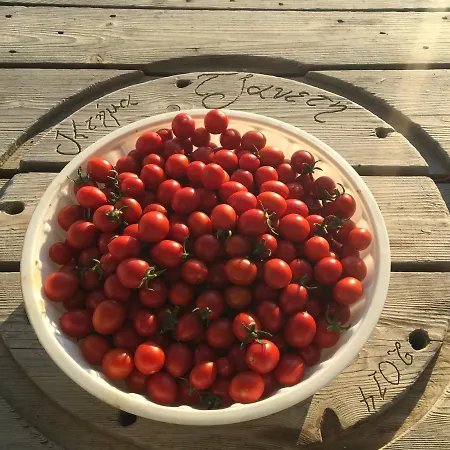 Ktima Tzaneti - Coastal Holiday home Lachania (Rhodes)