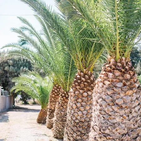 Ktima Tzaneti - Coastal *