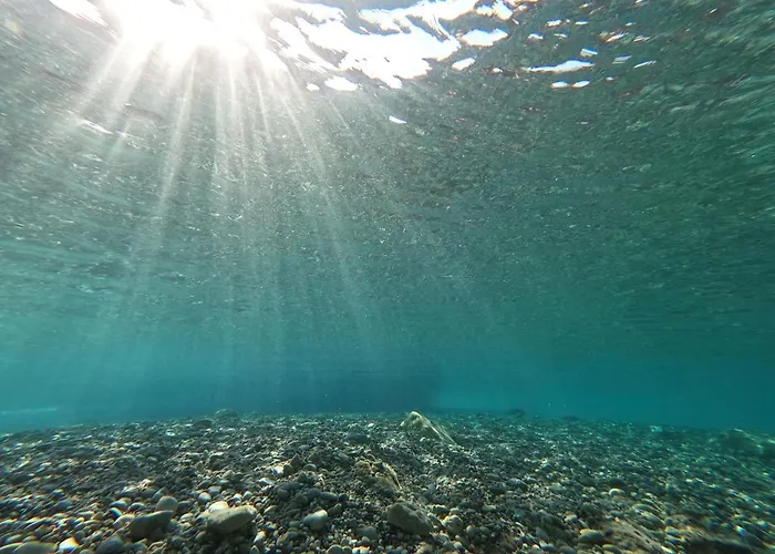Σπίτι διακοπών Ktima Tzaneti - Coastal