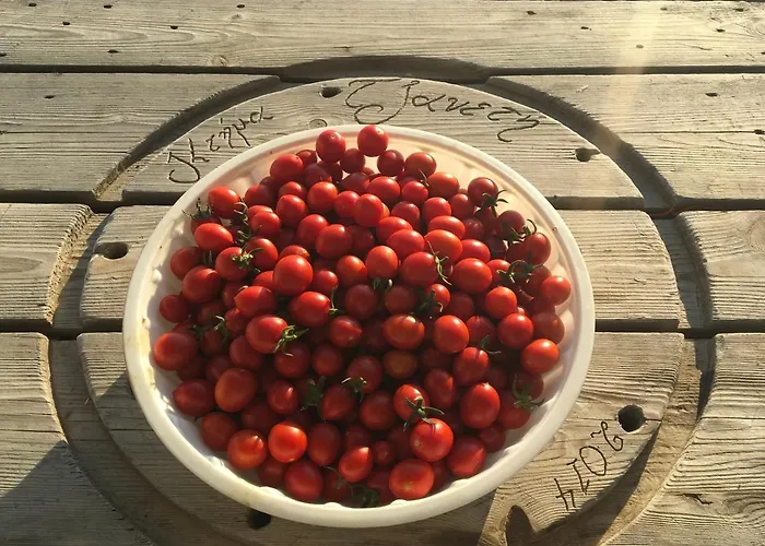 Ktima Tzaneti - Coastal בית נופש לקניה