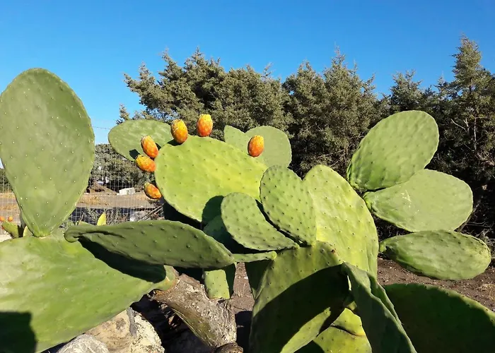 Holiday home Ktima Tzaneti - Coastal *