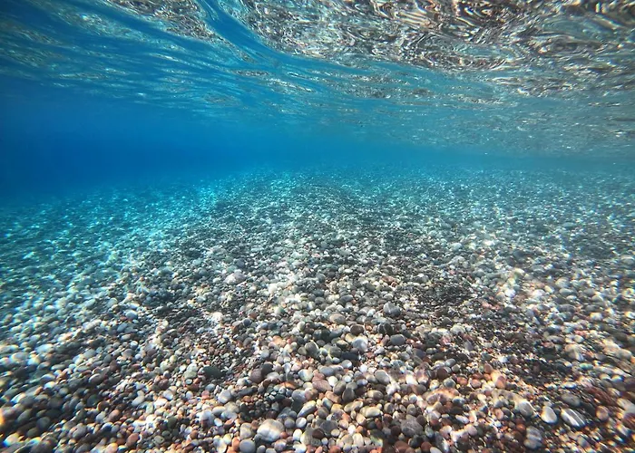 Ktima Tzaneti - Coastal * Lachania