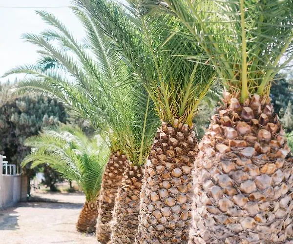 Ktima Tzaneti - Coastal *